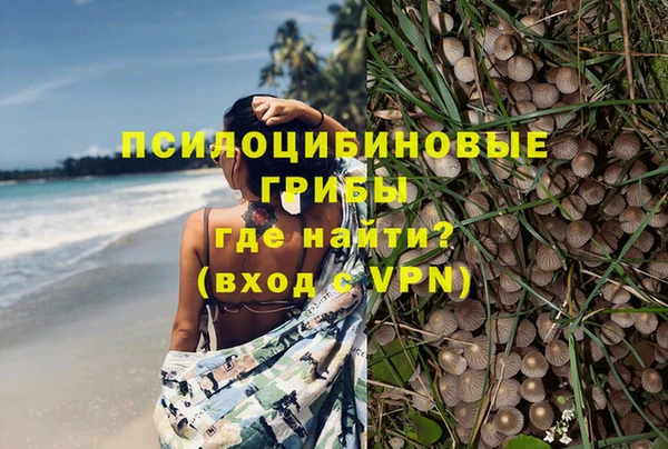 ALPHA-PVP Осинники