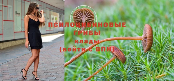 синтетический гашиш Нязепетровск